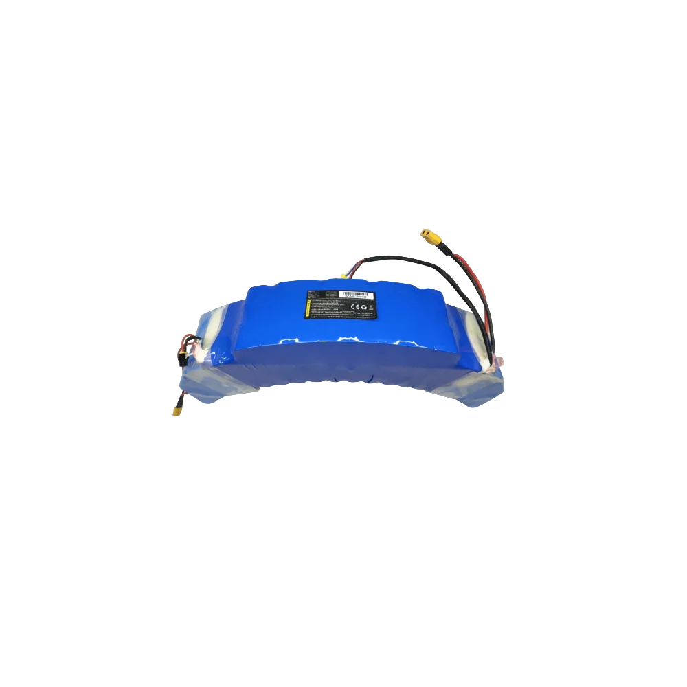 V10F Battery
